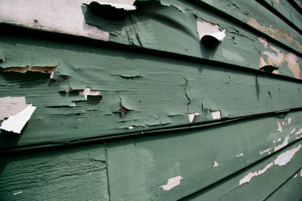 Affordable Siding Repair and Maintenance Services in Baldwin, NY